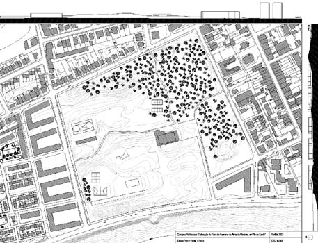 Implanta��o e Perfis